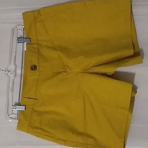 Ann Taylor Woman Gold Family Shorts